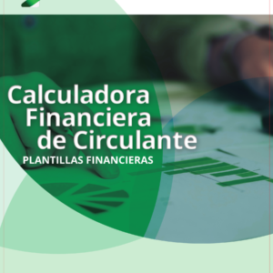 Calculadora Financiera de Circulante_page_1