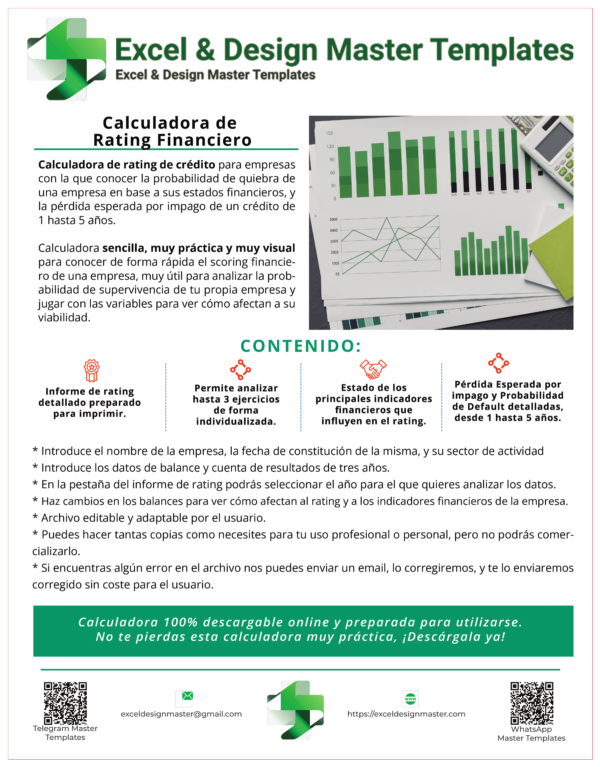 Calculadora de Rating Financiero_page_2