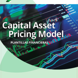 Capital Asset Pricing Model_page_1